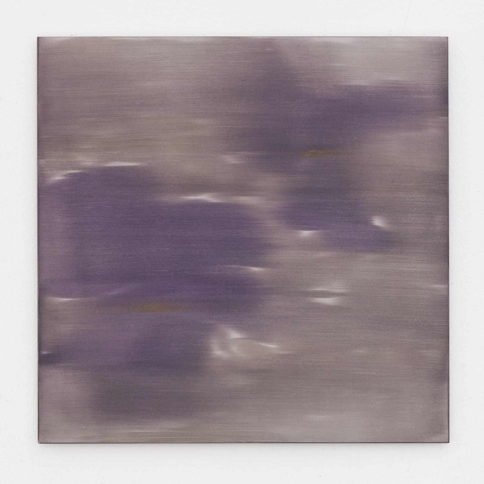 Marjolein Rothman, Violets II, 2018