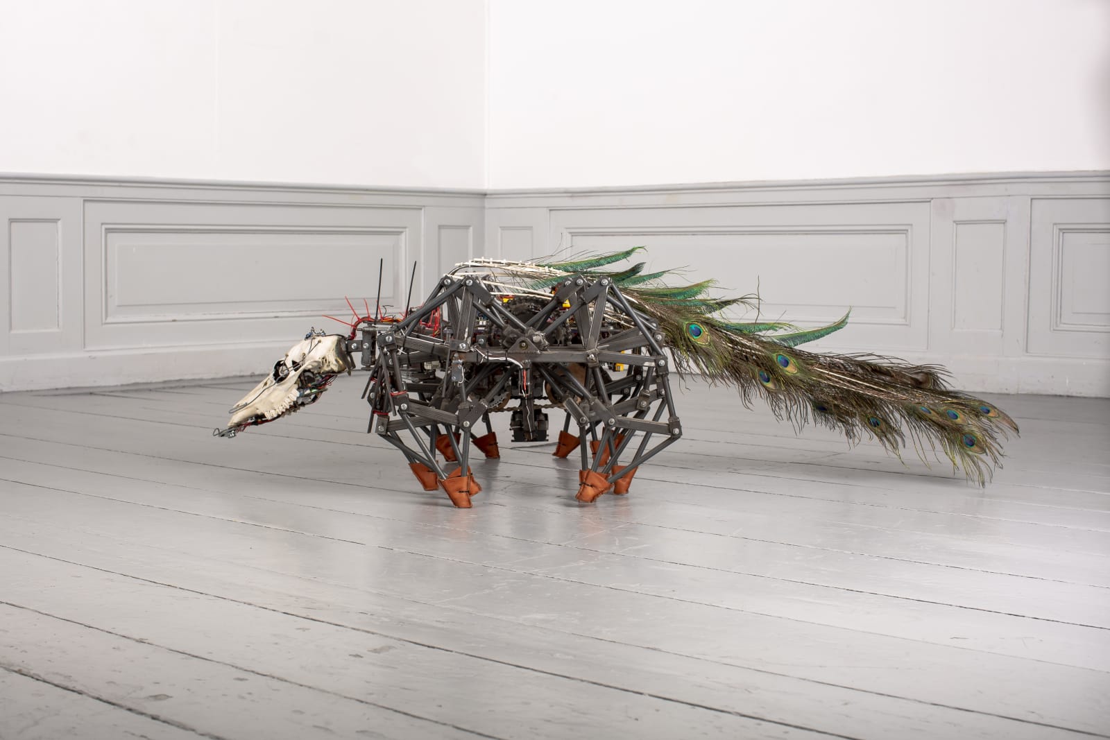 Jelle Korevaar, AS, 2018