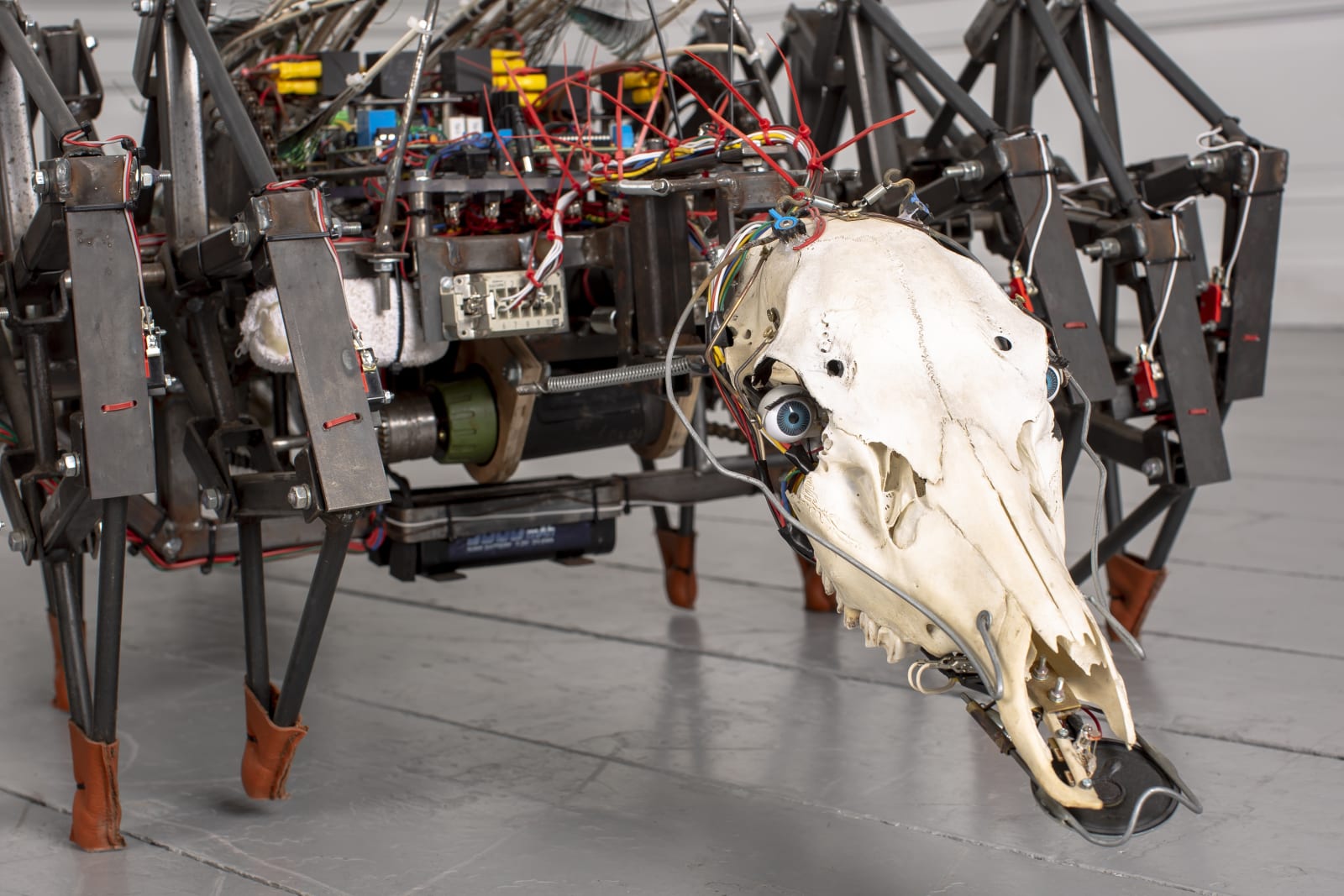 Jelle Korevaar, AS, 2018