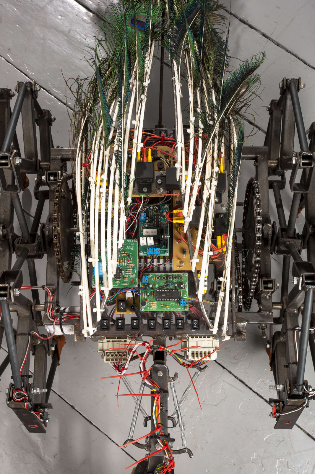 Jelle Korevaar, AS, 2018