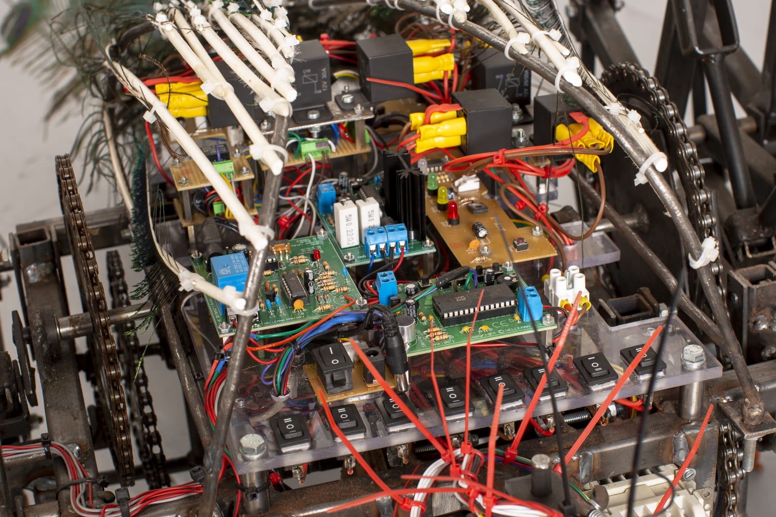 Jelle Korevaar, Cultivering (Cultivation), 2015