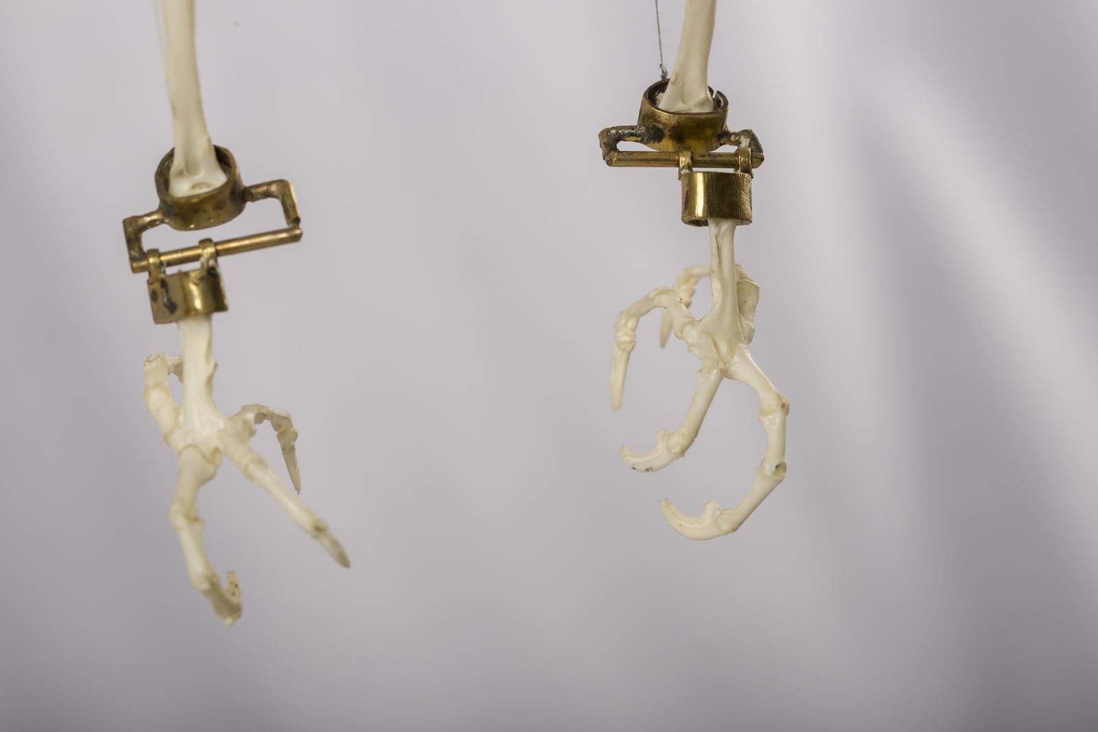 Jelle Korevaar, Cultivering (Cultivation), 2015