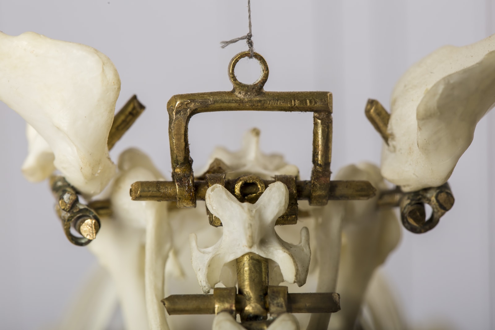 Jelle Korevaar, Cultivering (Cultivation), 2015