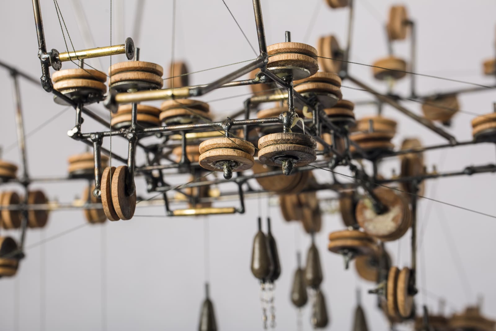 Jelle Korevaar, Cultivering (Cultivation), 2015