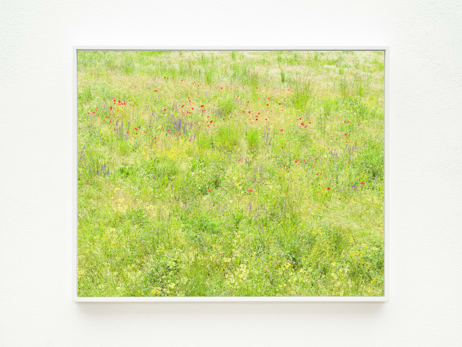 Misha de Ridder, the gathering, 2021