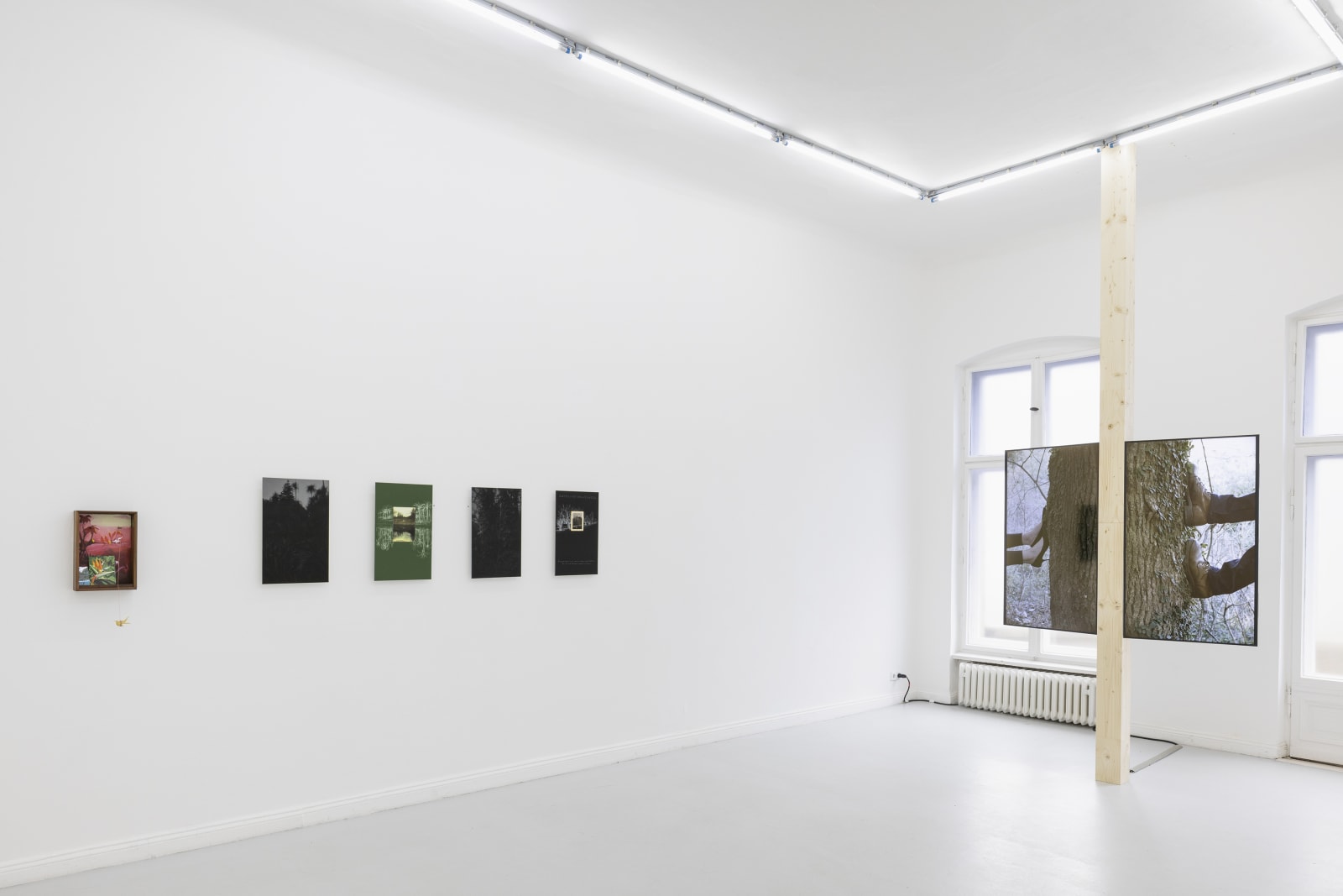 Photo by Timo Ohler, courtesy of the artist and Hua International, Exhibition Designed by Krista Xueying Yu.