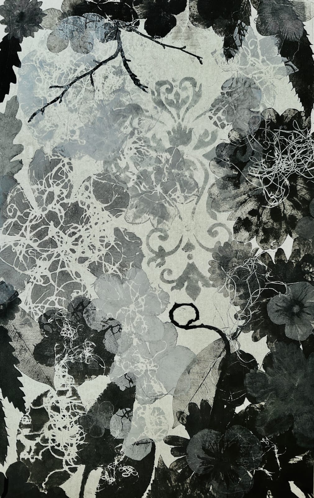 Judy Haberl