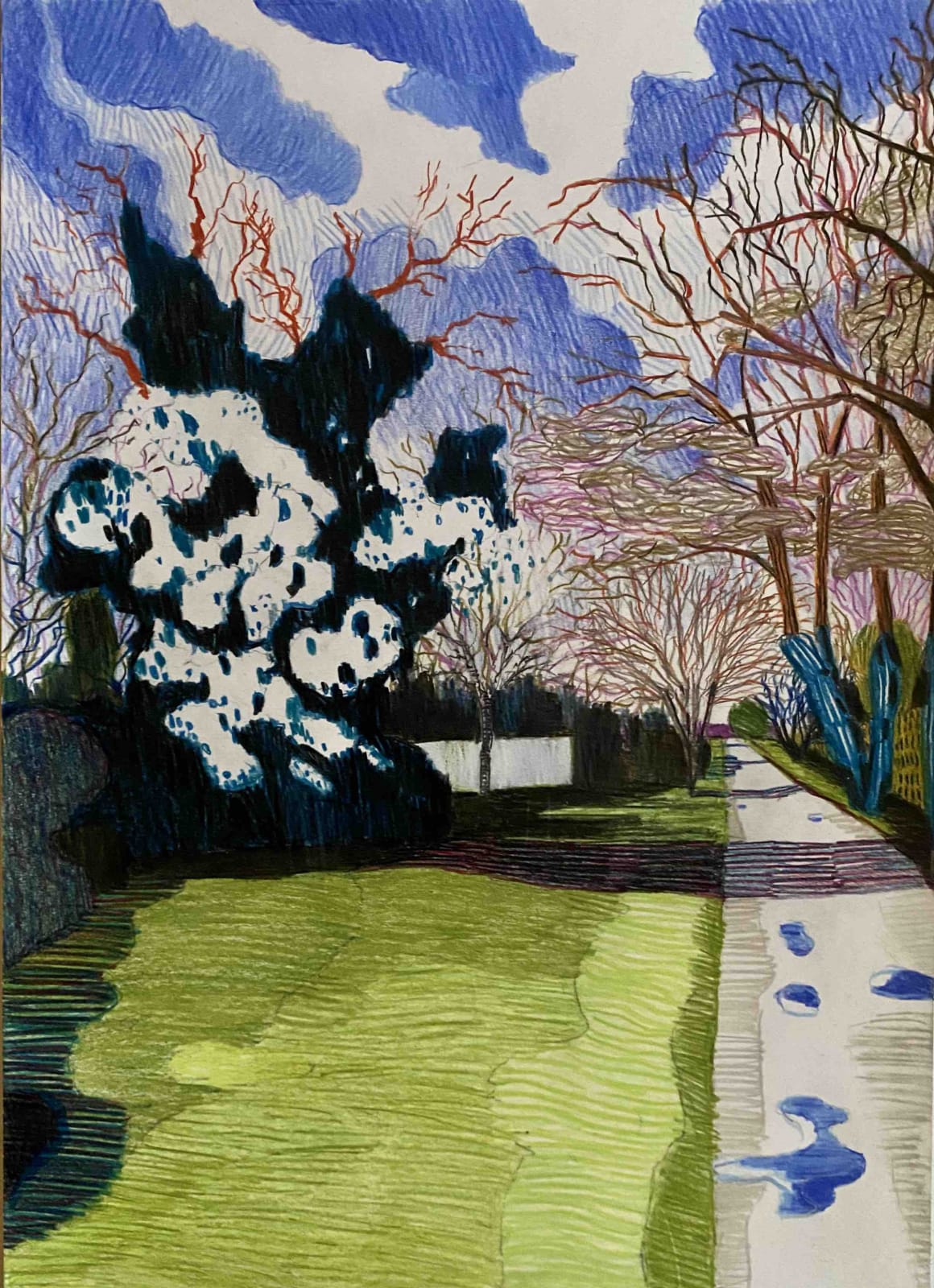 Per Adolfsen, In Bloom, March, 2020