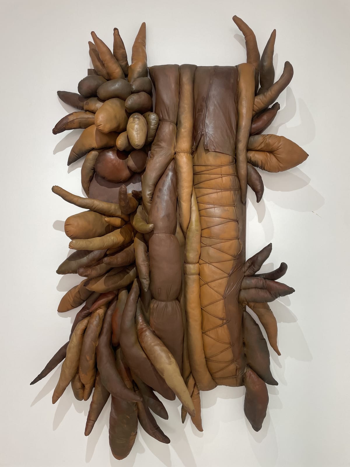 Elio Rodriguez, Black Forest, 2022