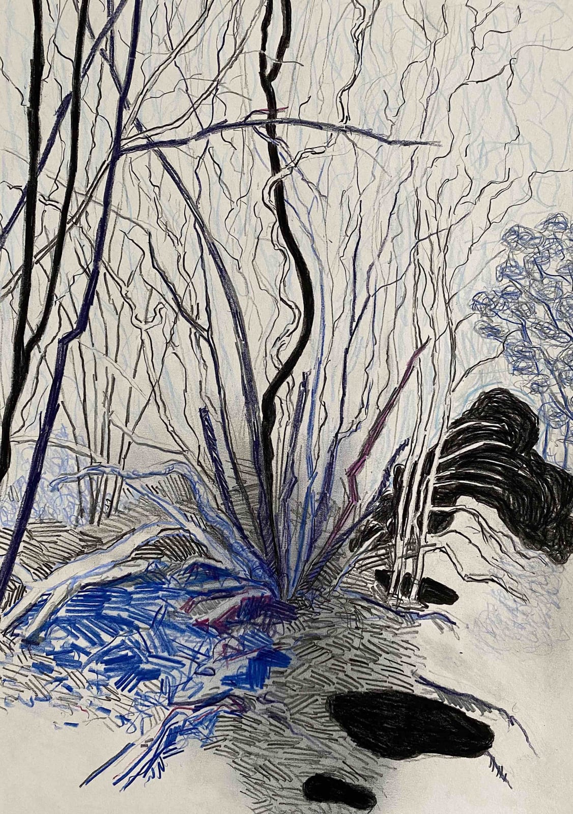 Per Adolfsen, Young Tree in Winter, 2020