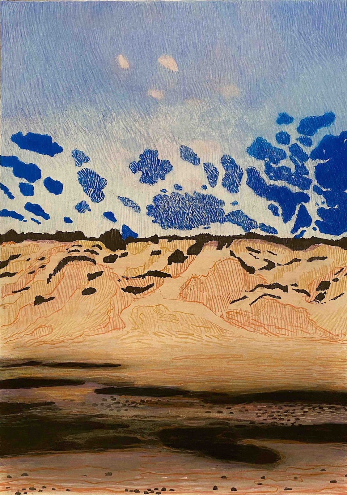 Per Adolfsen, Dunes by the West Coast, 2020