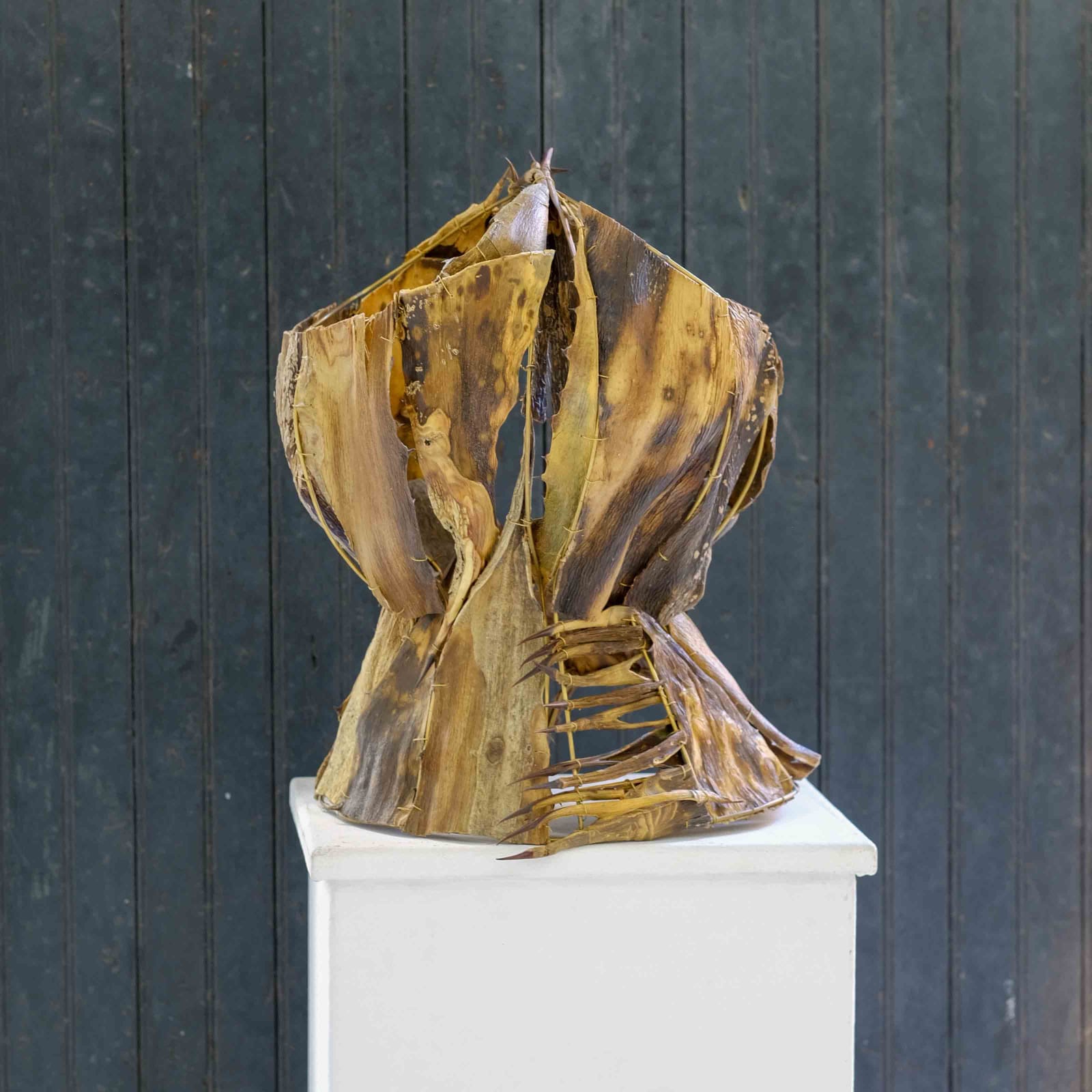 Susana Guerrero, Corse de Agave (Agave Corset), 2017