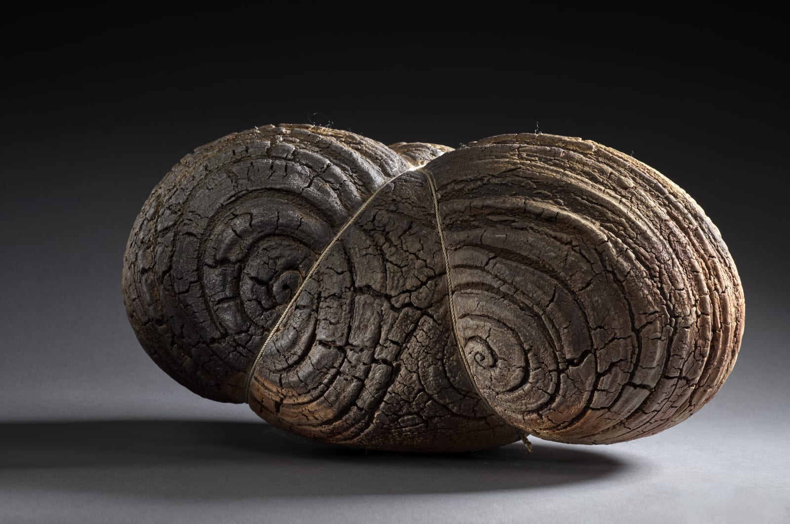 Seungho Yang, Cocon, 2020