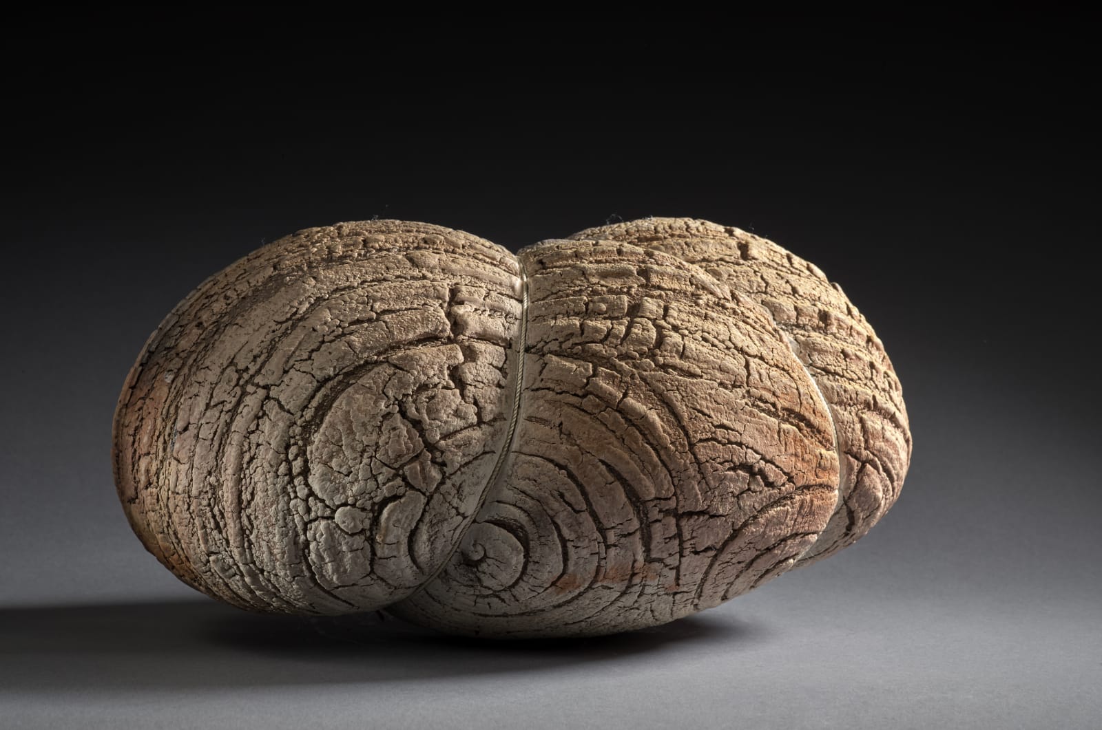 Seungho Yang, Cocon, 2020