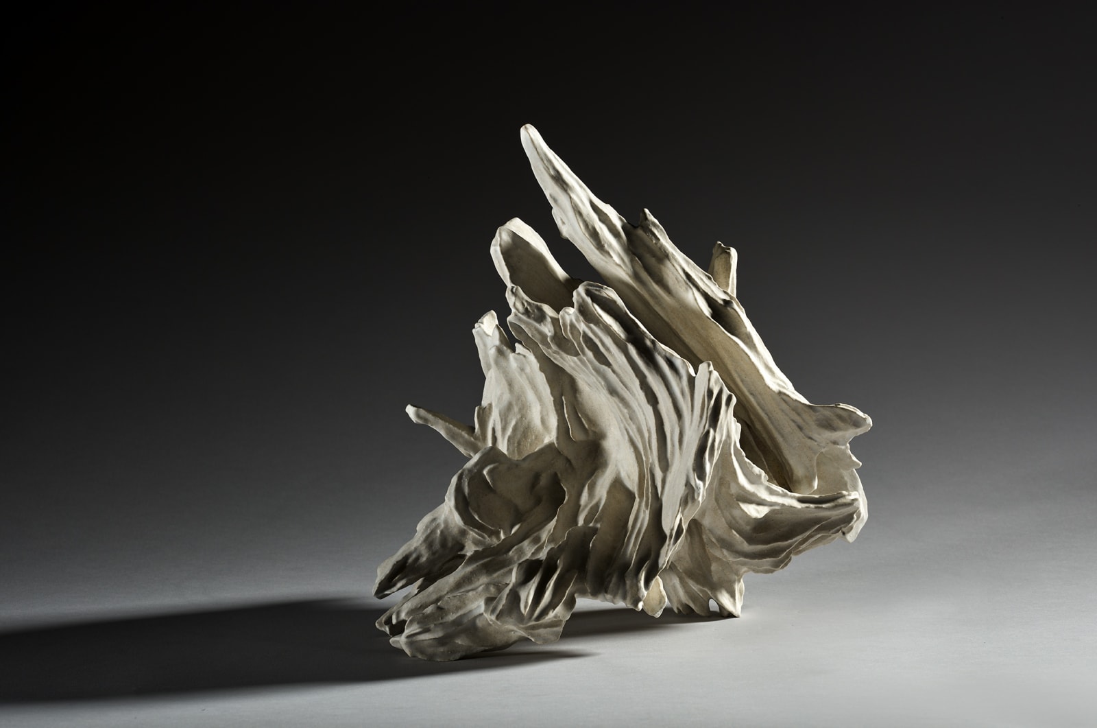 Akashi Murakami, Wind Wave, 2022