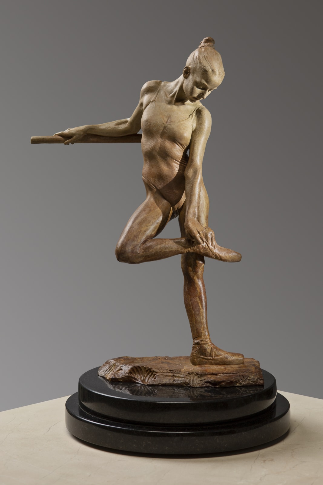Richard MacDonald, Study for the Rose, Half Life, 2005