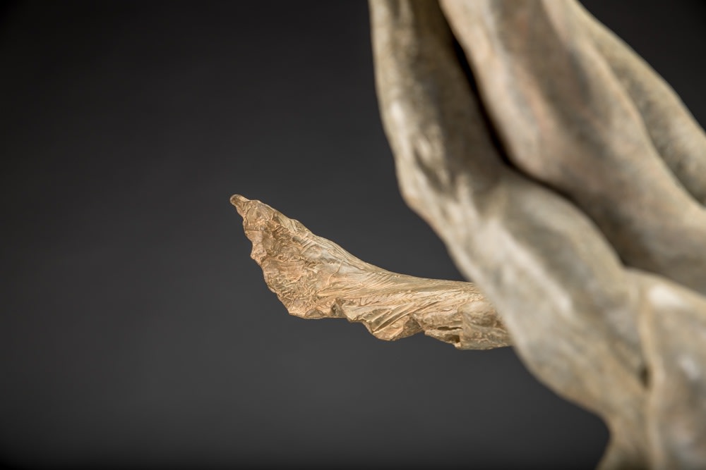 Richard MacDonald, Doves, Half Life, 1990