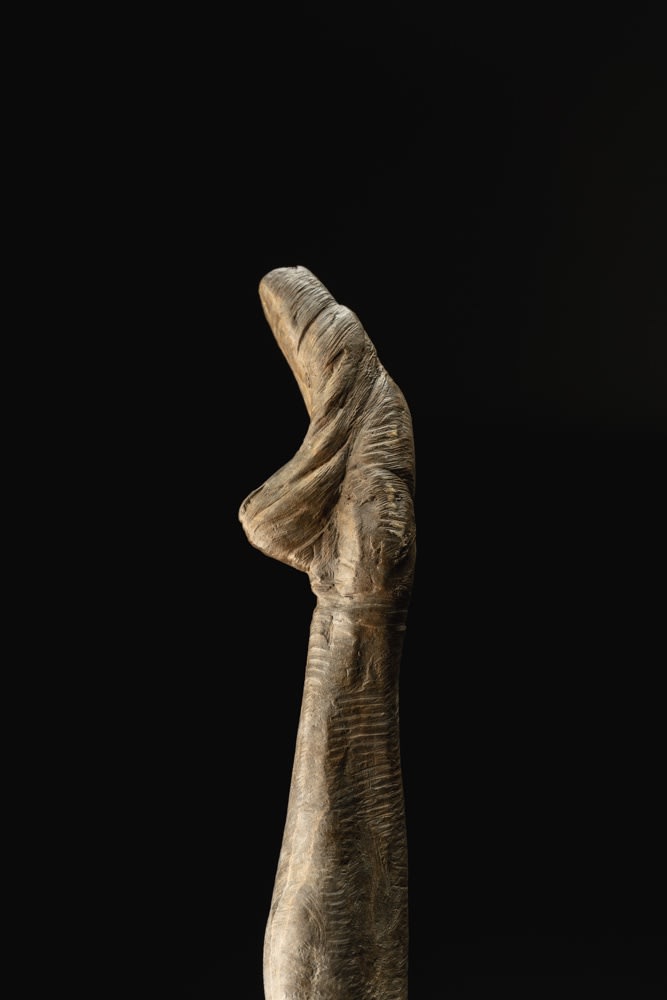 Richard MacDonald, Penche Monet, Column, 2019