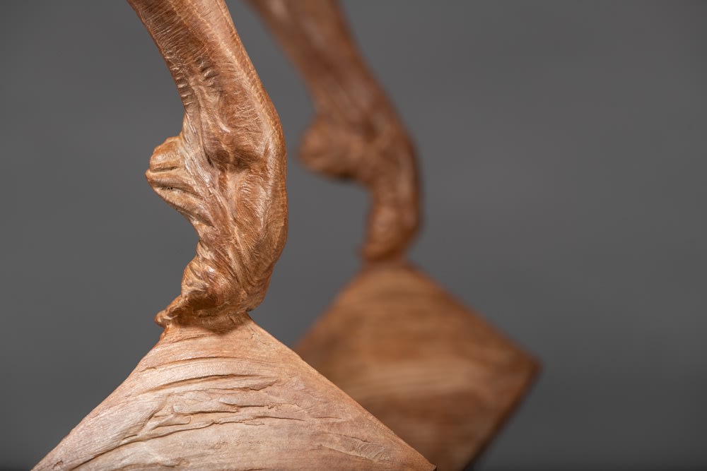 Richard MacDonald, Blind Trust, Third Life, 2018