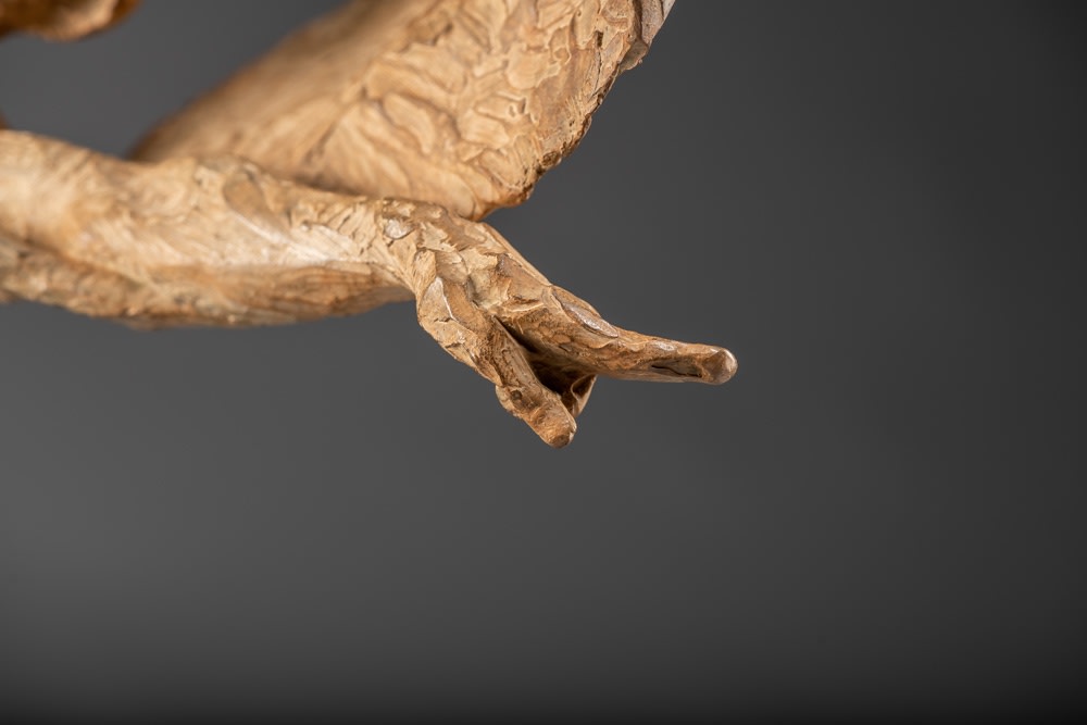 Richard MacDonald, Capeo Flamenco, 2002