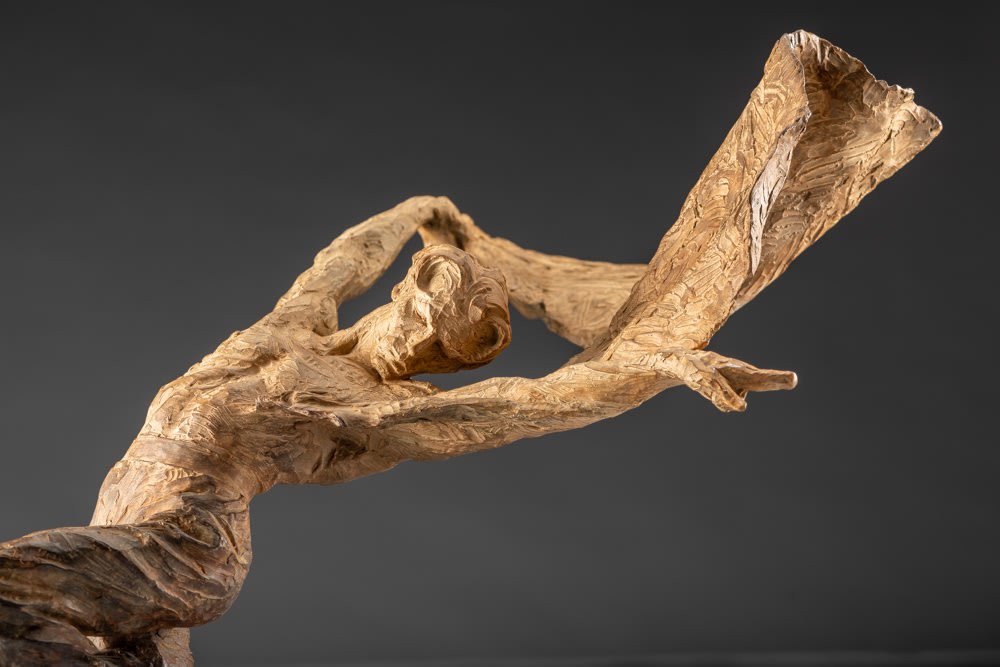 Richard MacDonald, Capeo Flamenco, 2002