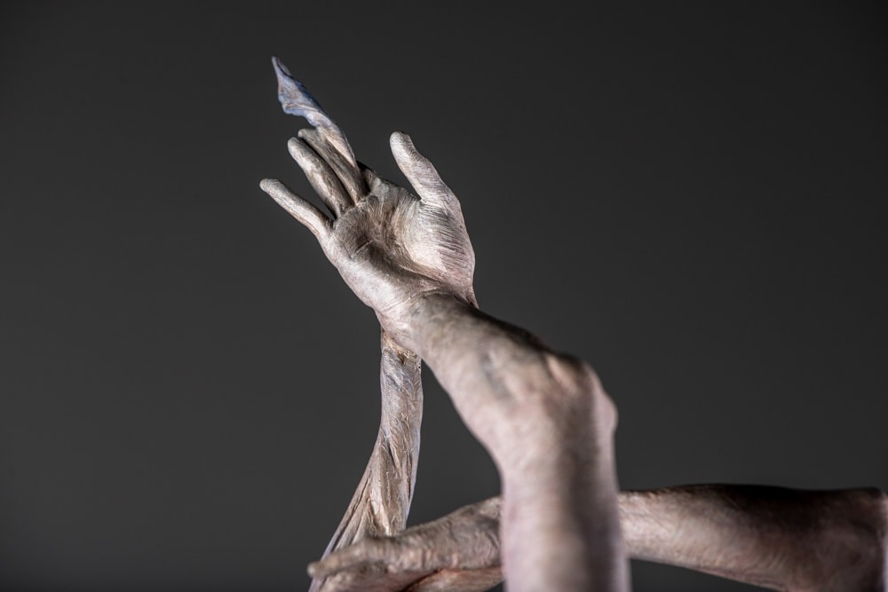 Richard MacDonald, Venus, 2019