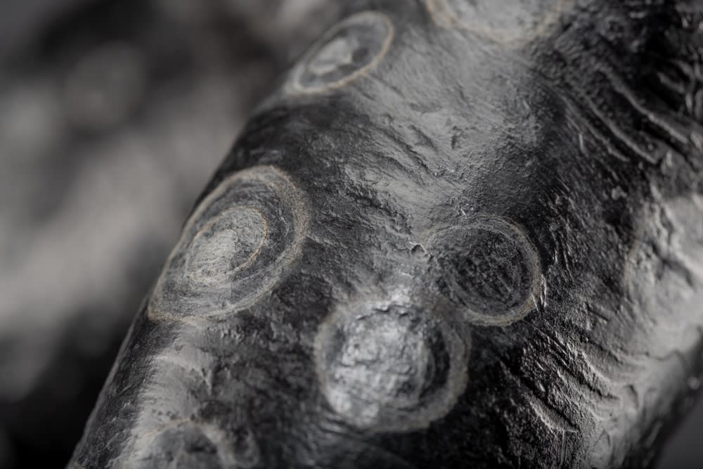 Richard MacDonald, Midnight (Sleep), Half life, Blanc Noir, Artist Proof, 2002