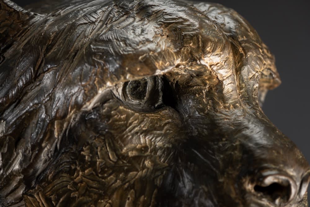 Richard MacDonald, Cheetah Bust, 1996