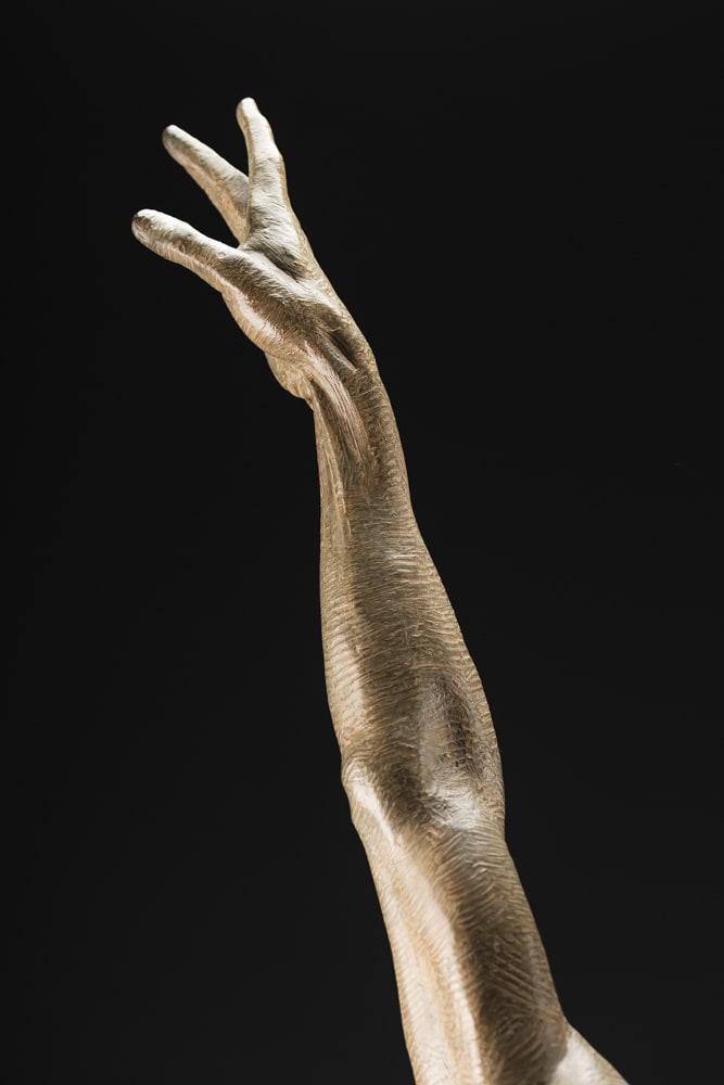 Richard MacDonald, Allonge Male, Third Life, 2013