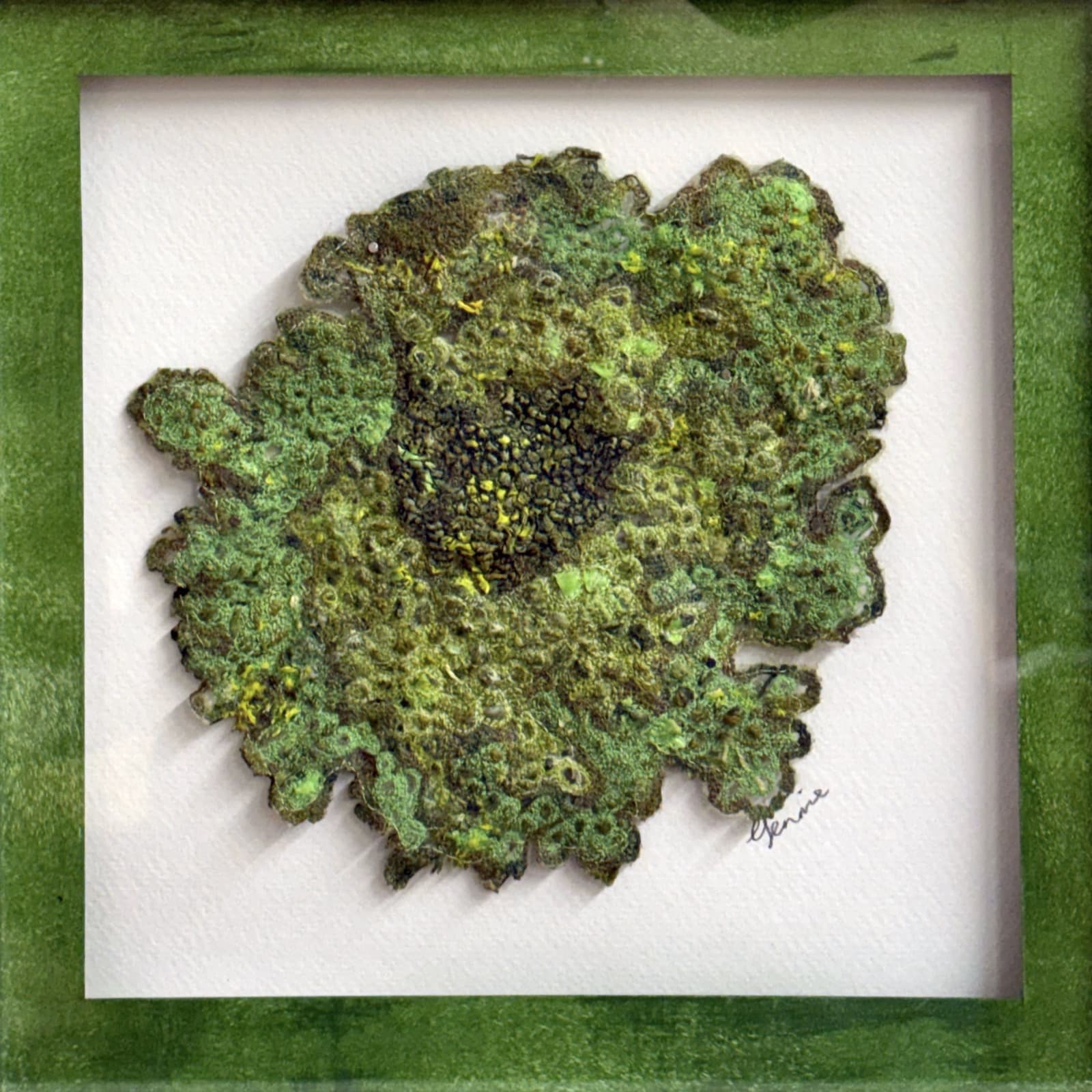 Catherine Glennie, Shield Lichen Green