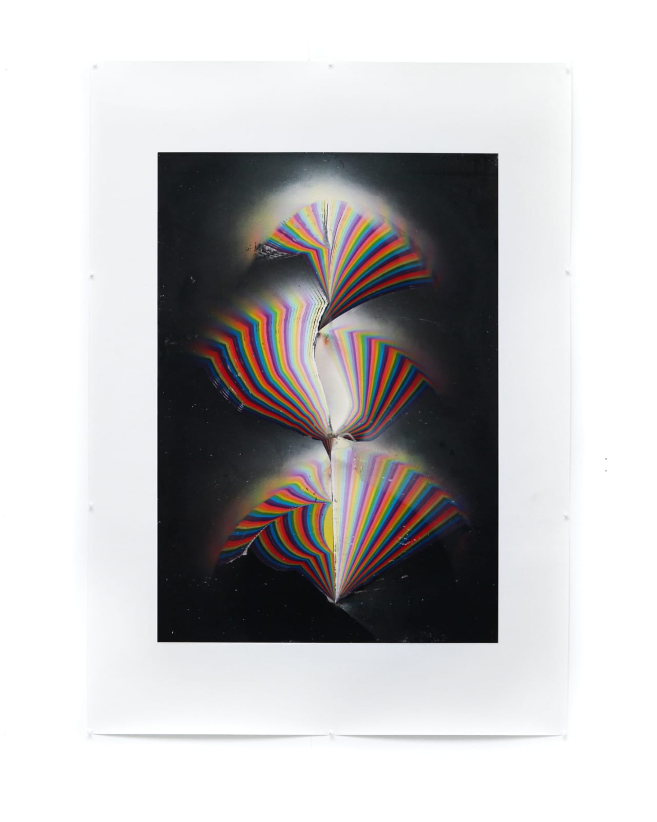 Jacob Wolff, rainbow tree II, 2021