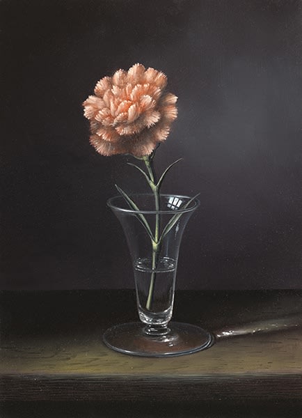 Brian Davies, Pink Carnation