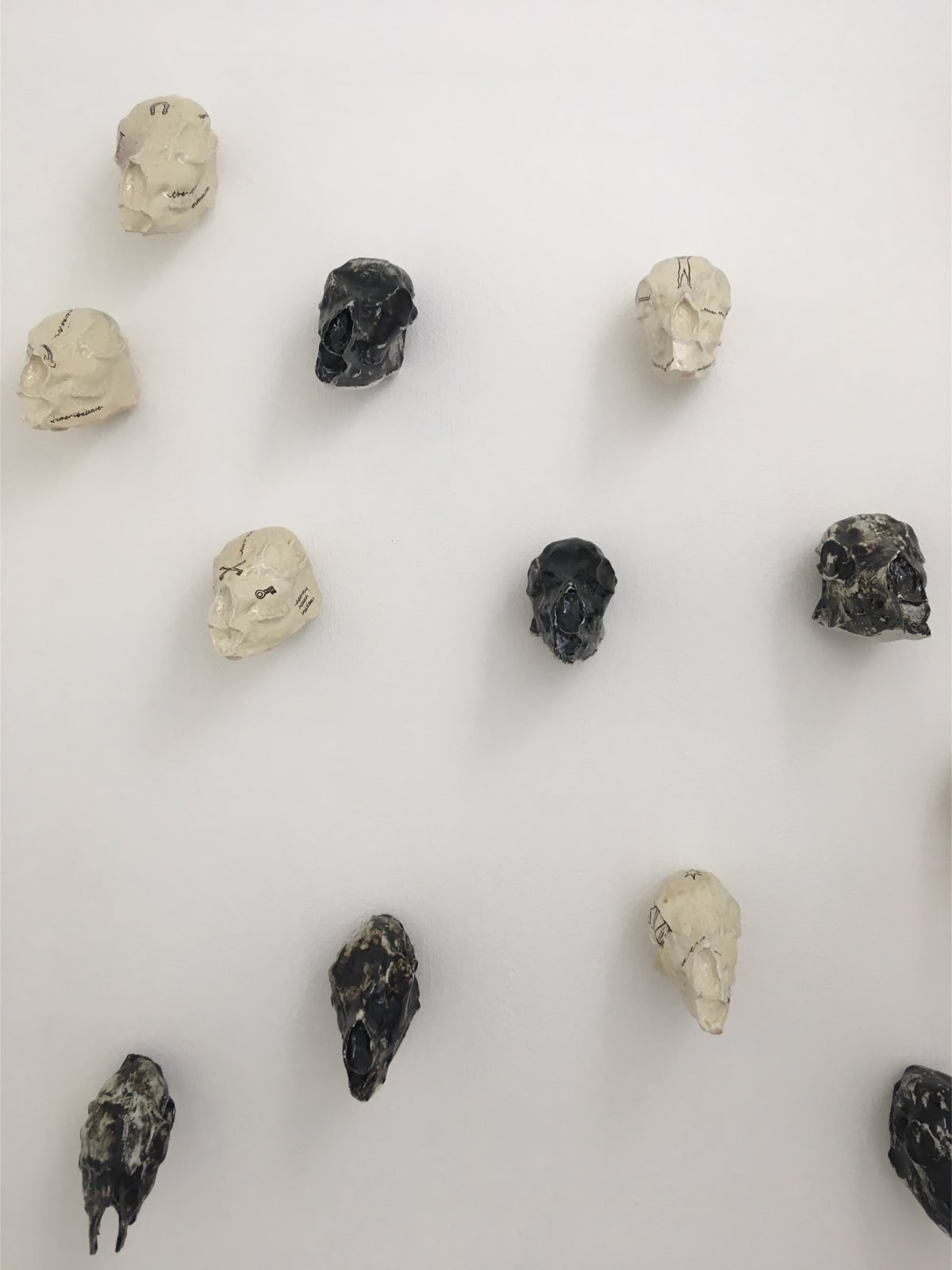 Caitlin Robb, Ceramic Catacomb, Ceramic Installation