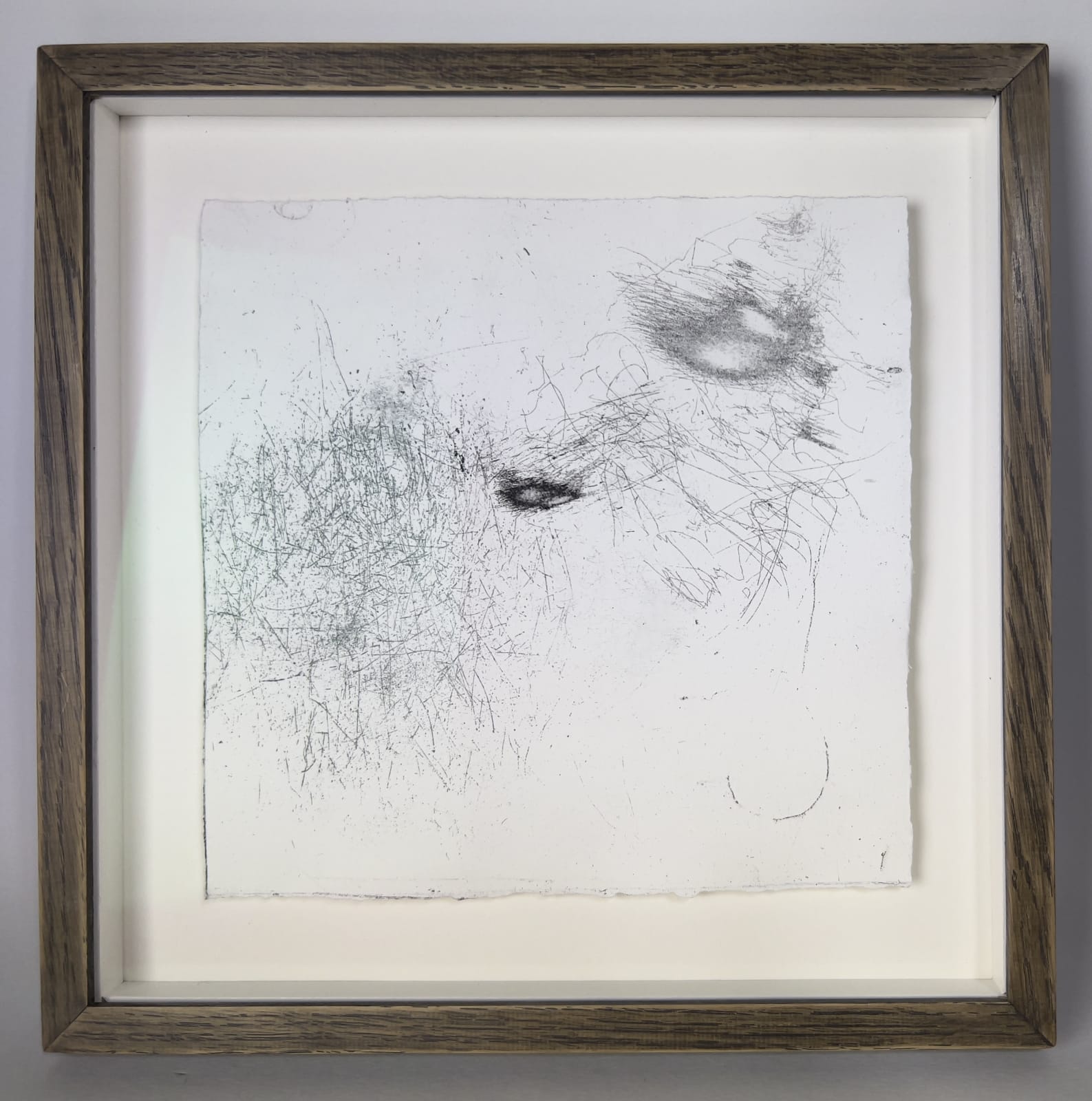 Geraldine van Heemstra, Whimbrel Wind Etching #5