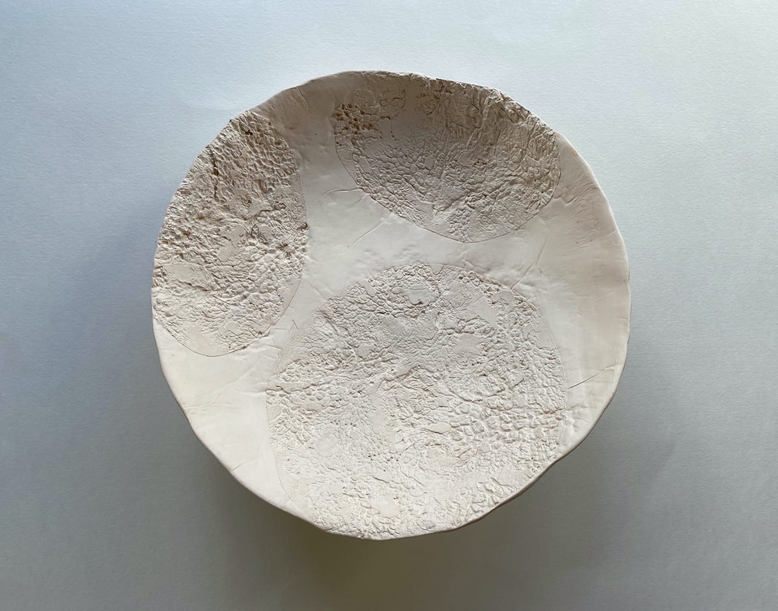 Mooie Scott, Lichen