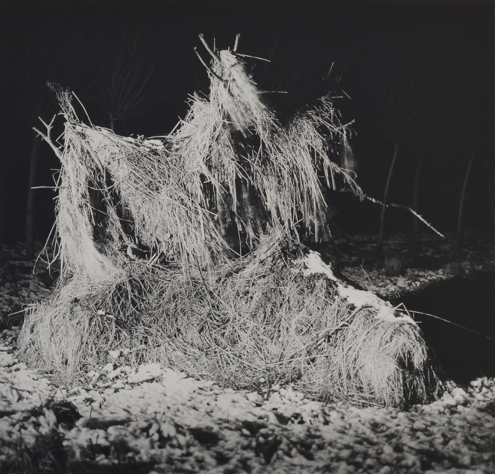 Thomas Hawson, Dada Hayrick