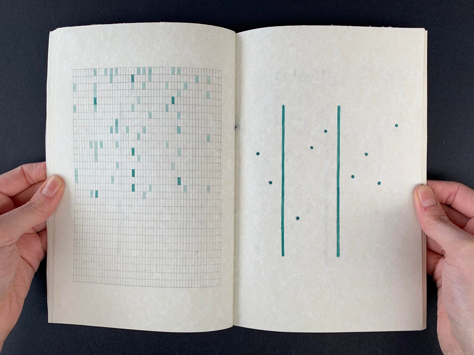 Erin Thomson, Human Nature (Riddle Series) Book of Human