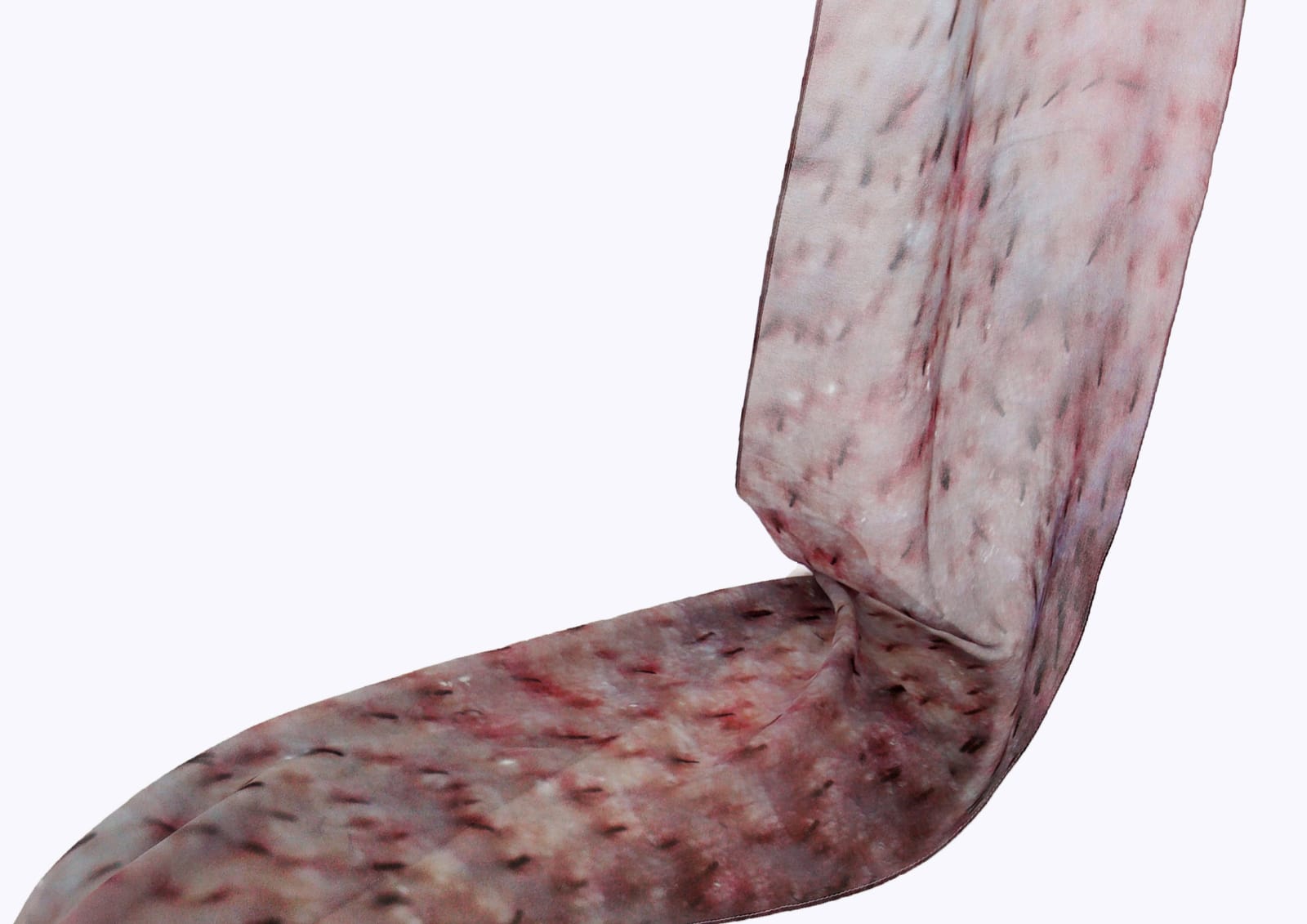 Iona Brown, Untitled (fabric)