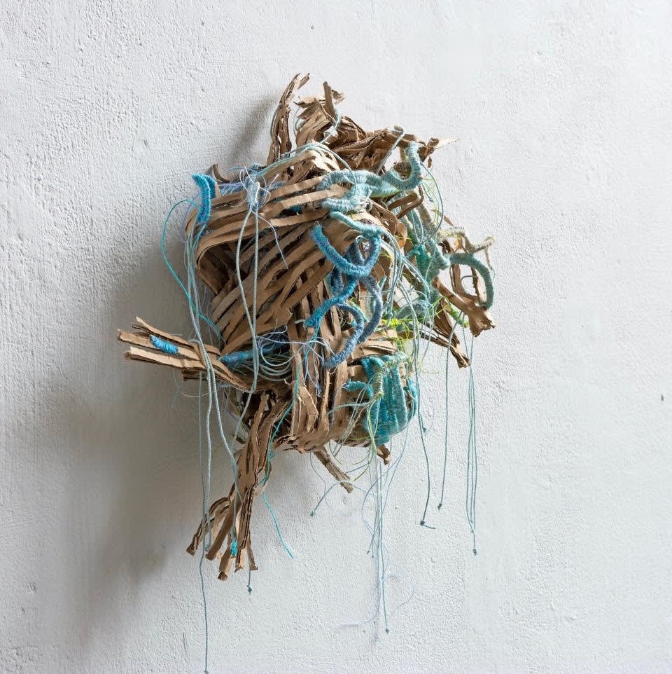 Fiona Hutchison, Shredded Knot