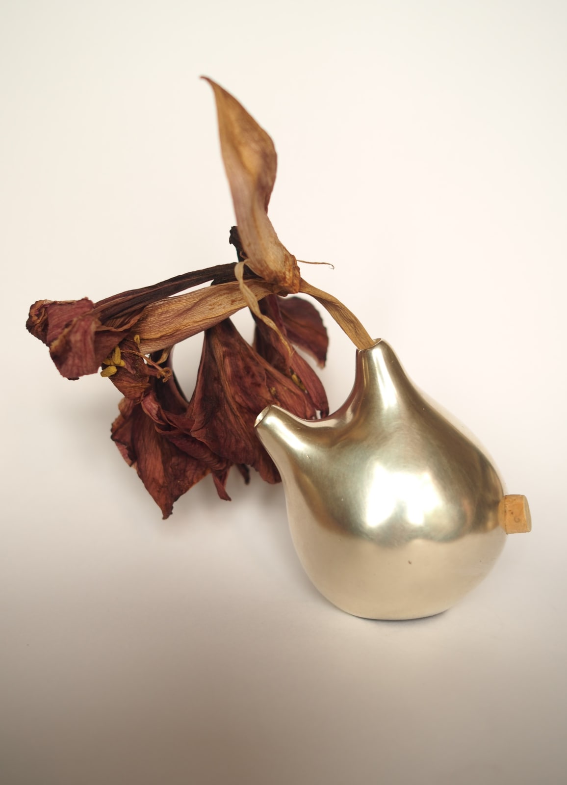 Hannah Keddie, Ascidiacea Vessel