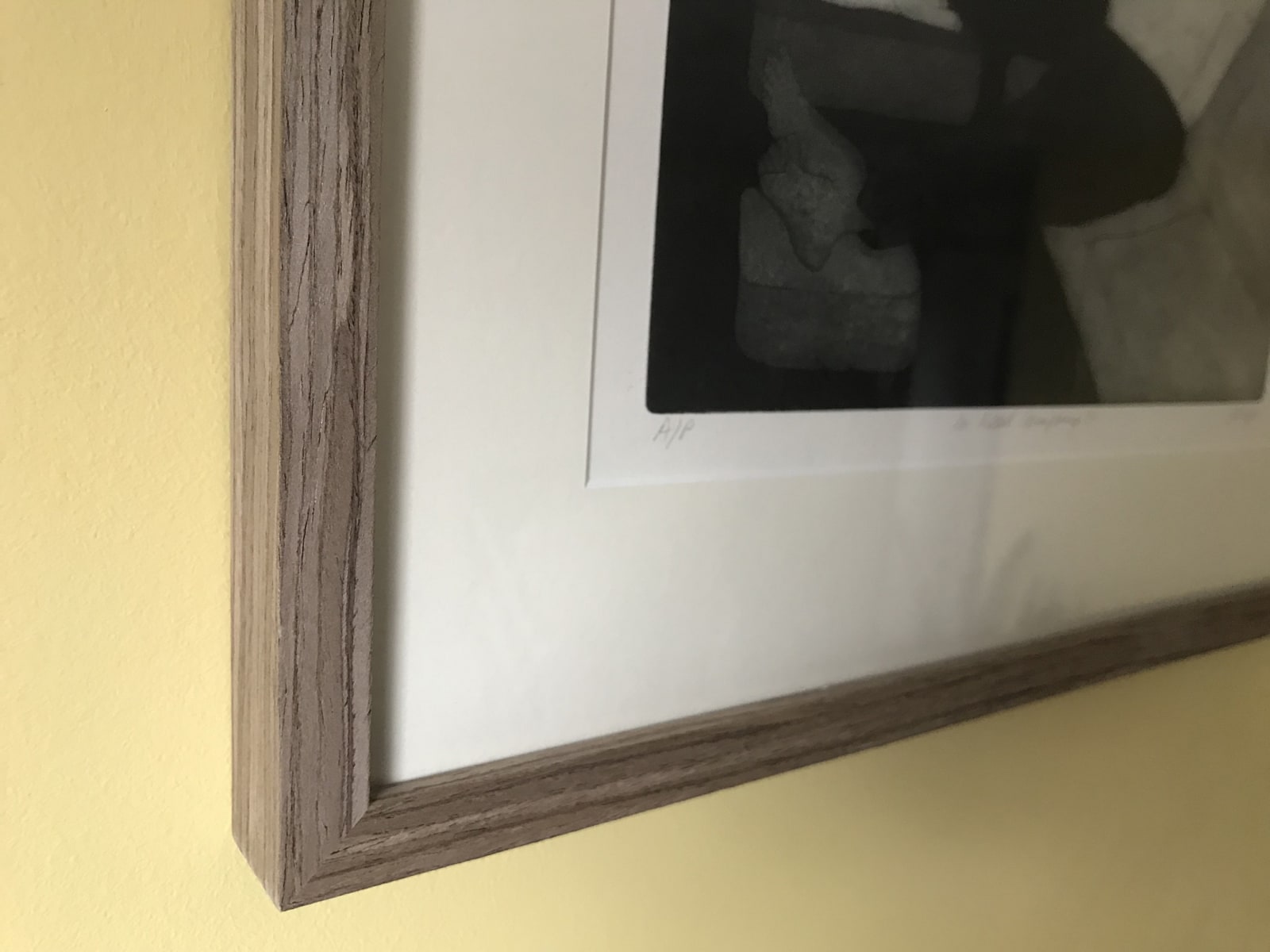 Anupa Gardner, In Good Company I