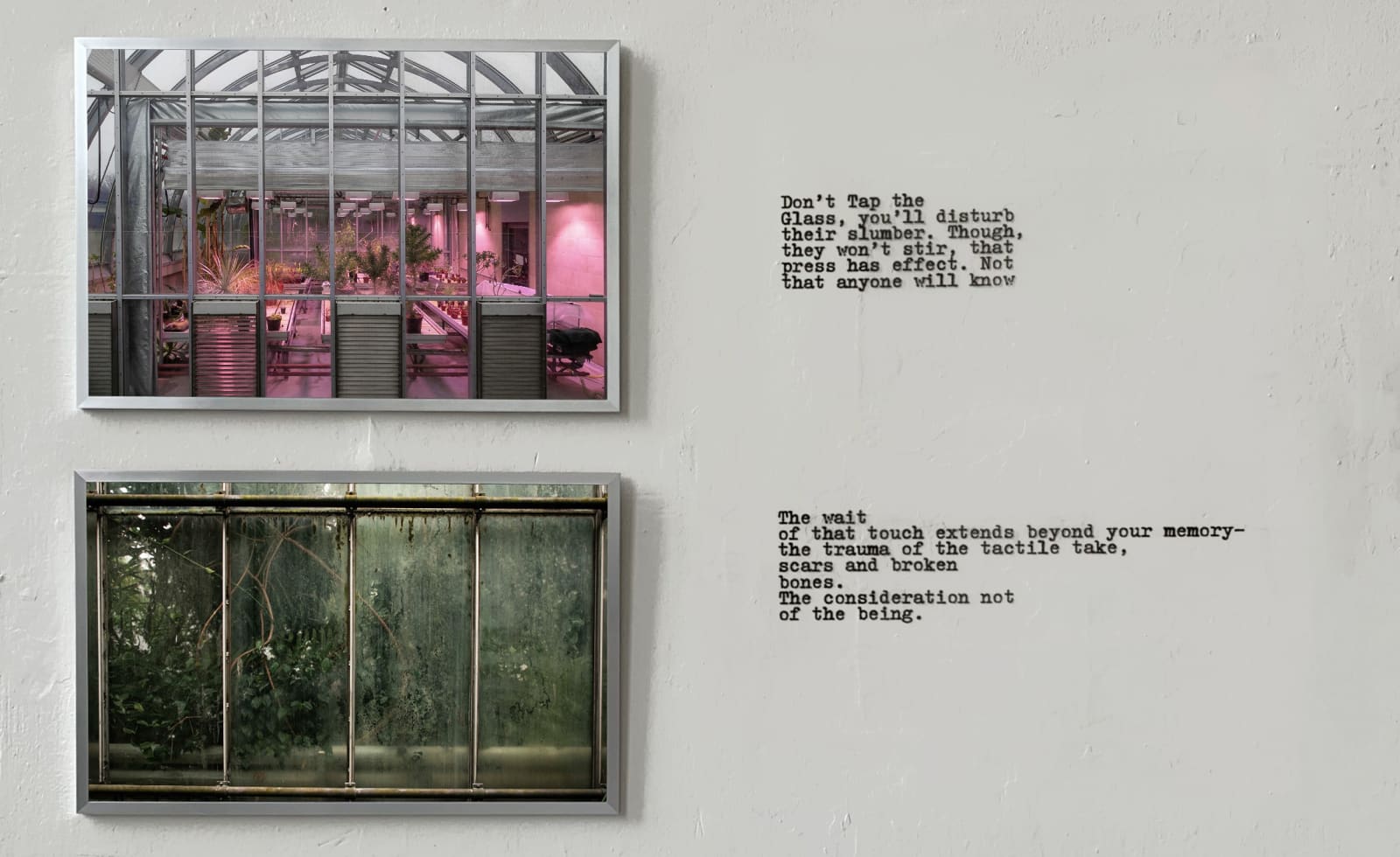 Mhairi Fenton, Looking In To Nature II
