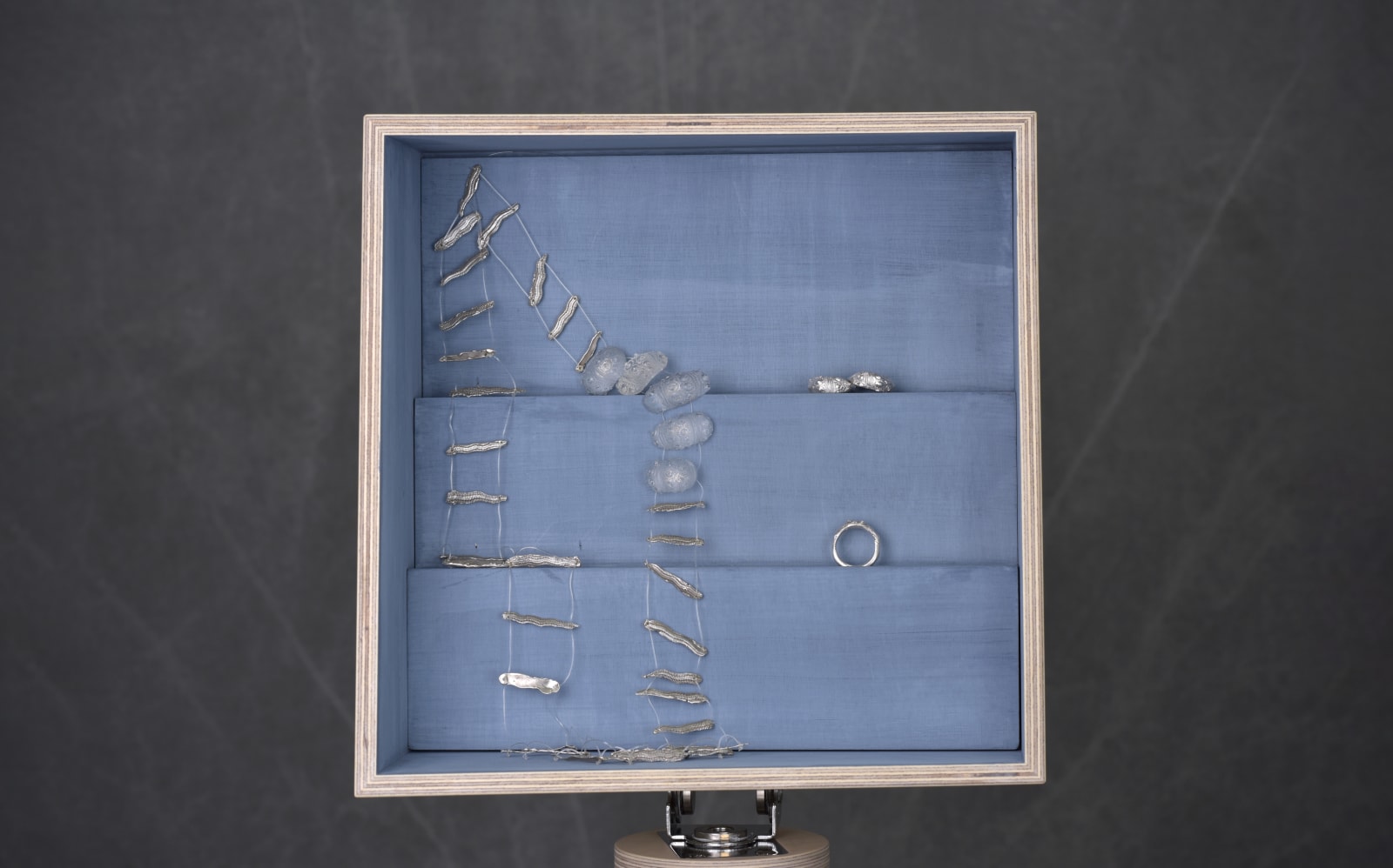 Alexis Mitchell-Taylor, Aequor transparent series