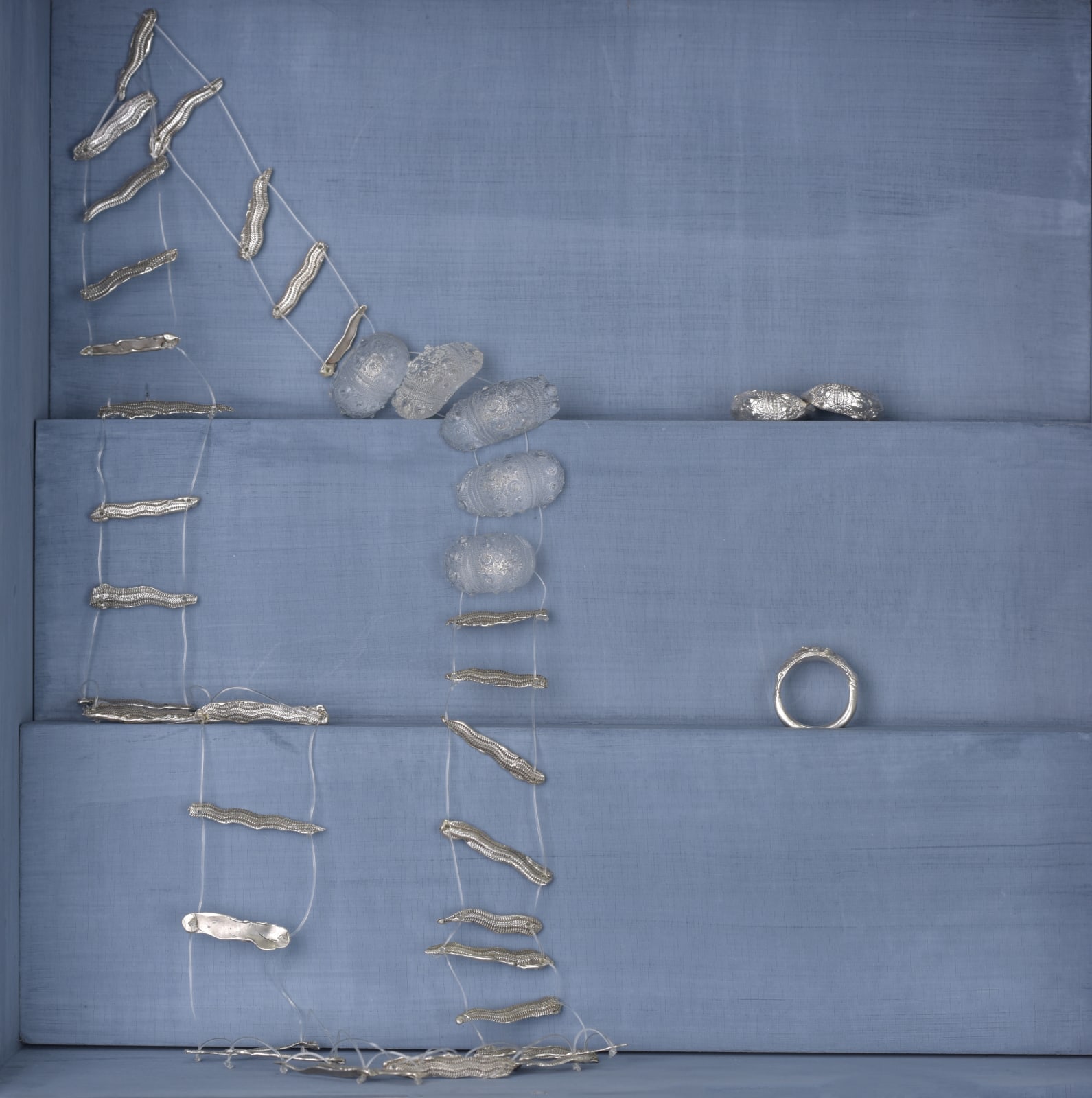 Alexis Mitchell-Taylor, Aequor transparent series