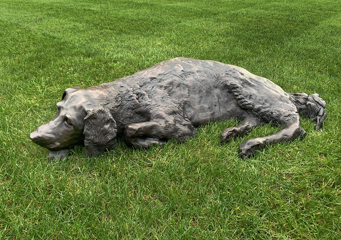 Commissioned Bronze dog by Stephen Charlton Sculptor