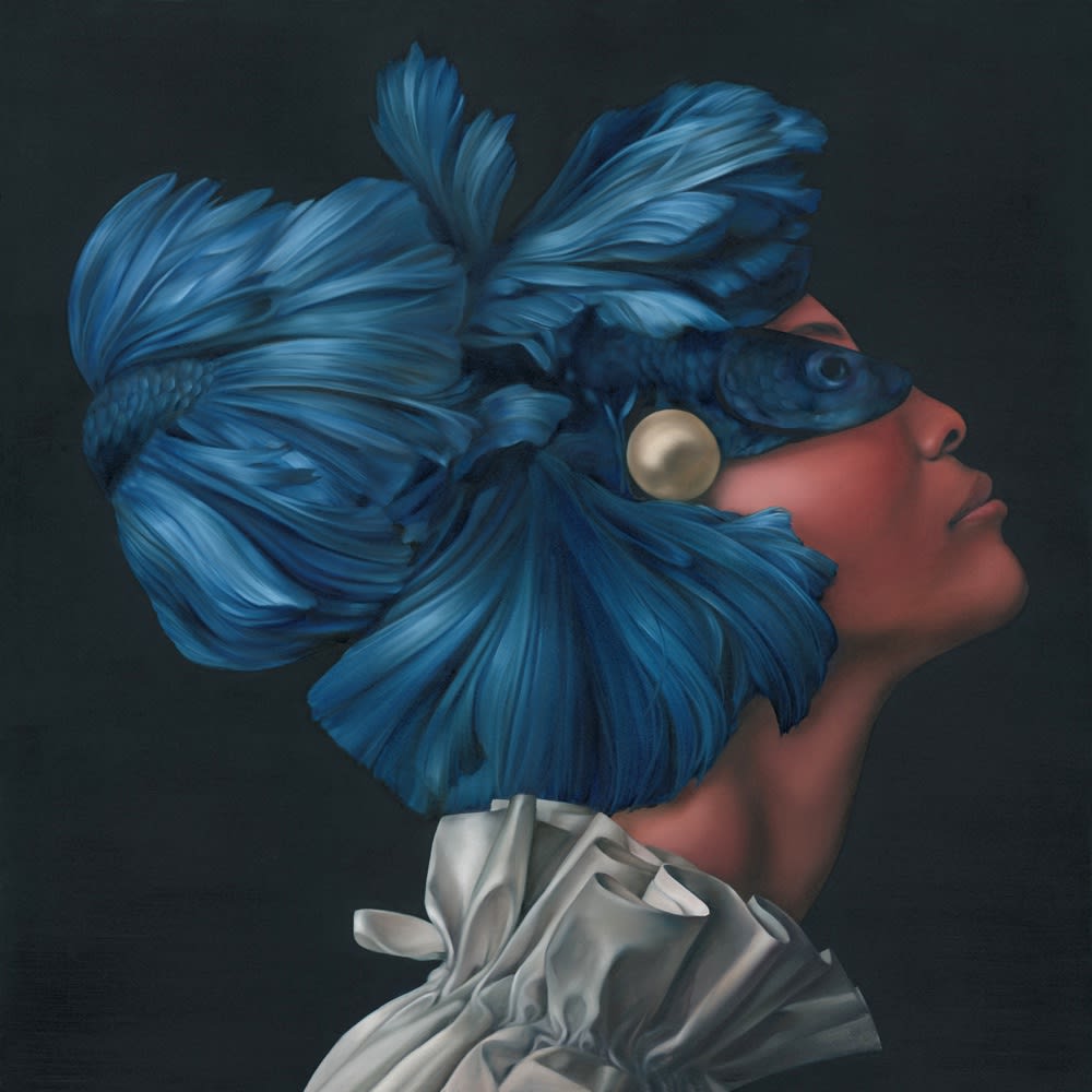 Amy Judd, Fins and Folds , 2025