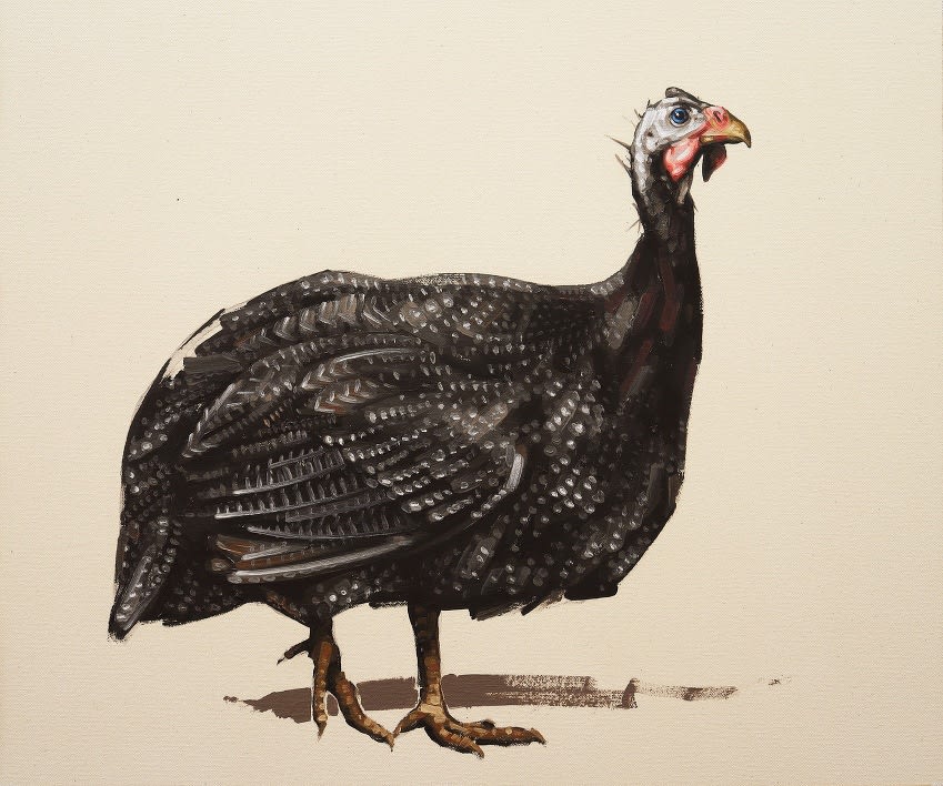 Fábio Baroli, Ariane, 2022