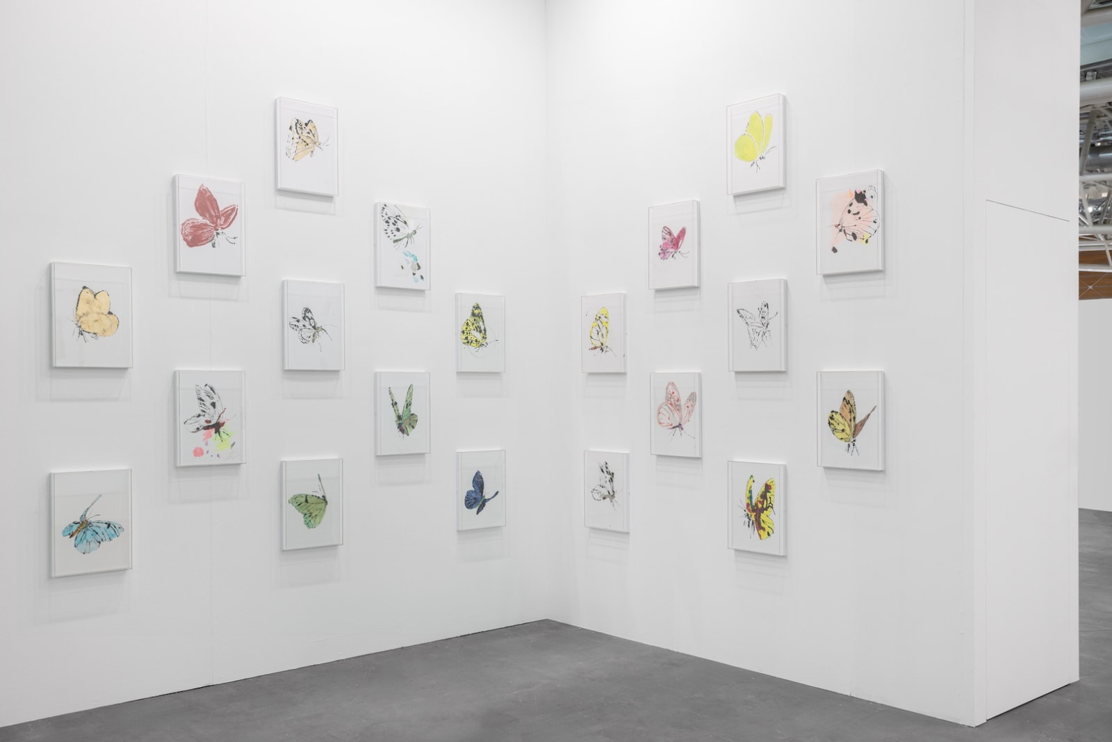 Diogo Evangelista Butterfly, 2024