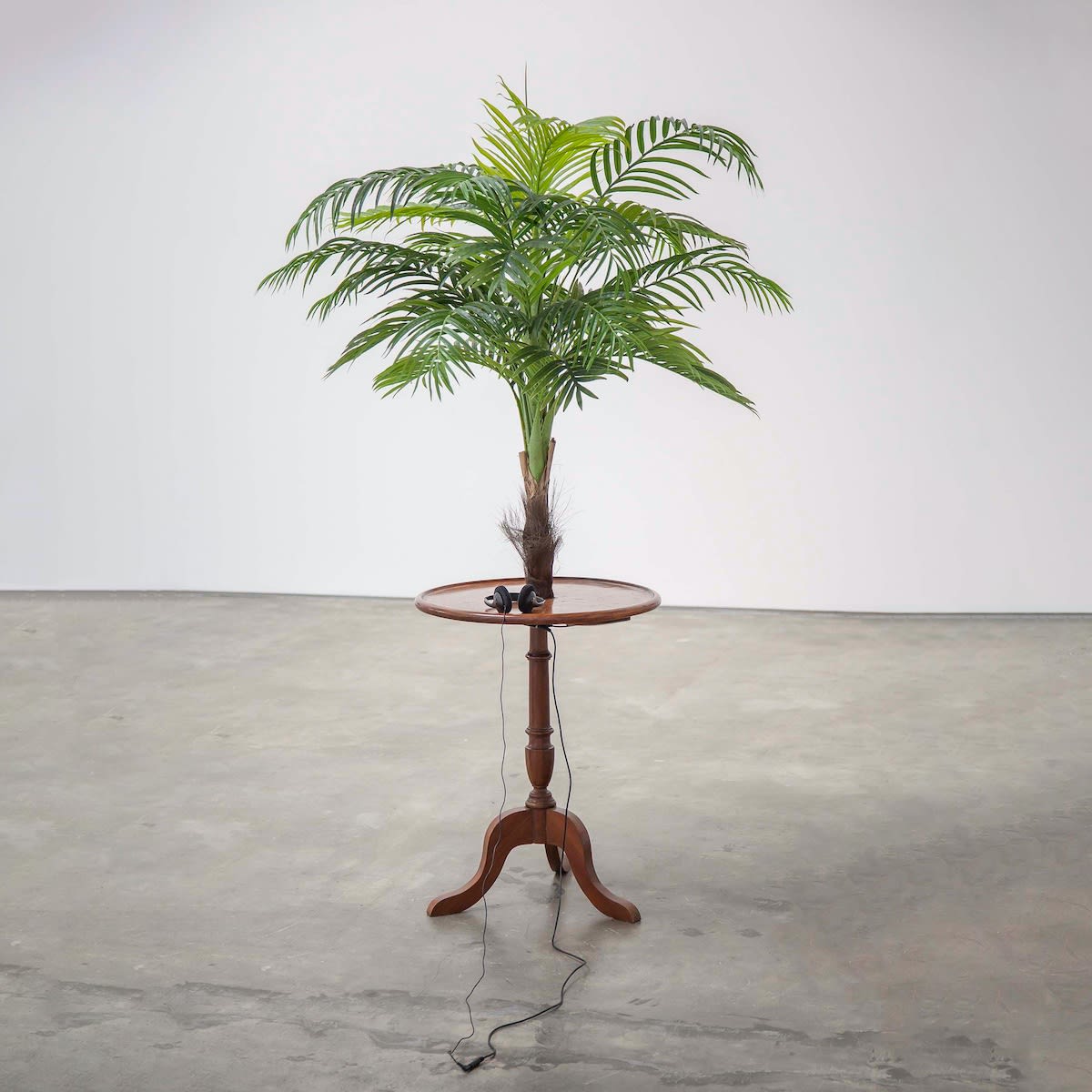 Vasco Araújo Exotismo #1, 2014 Plastic palm tree, wood table, MP3 Sound, headphones Text: Vasco Araújo Voices: Mariana Sá Nogueira, Paula Sá Nogueira, Vasco Araújo 170 x 60 x 60 cm