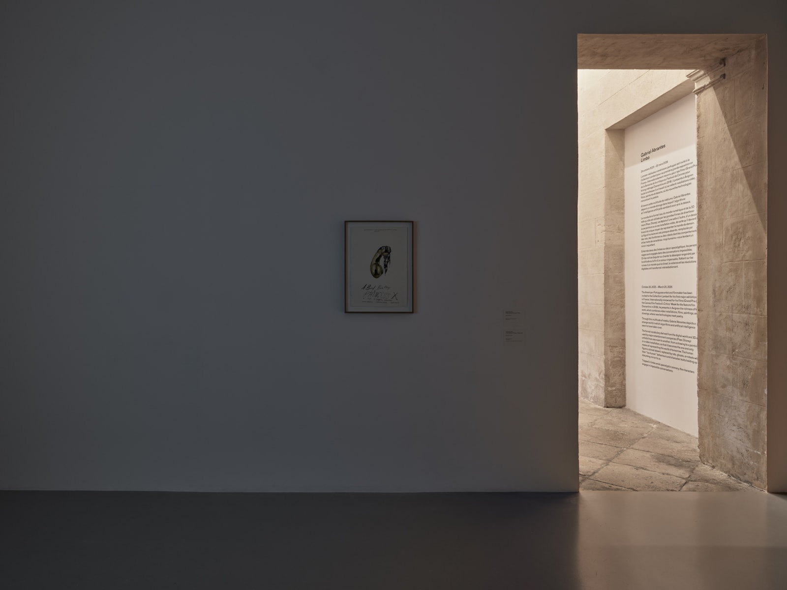 Gabriel Abrantes, Limbo, Collection Lambert, 2025. Courtesy Collection Lambert © JC Lett